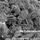 This microscopic image shows the lumpy calcium-aluminum-silicate-hydrate (C-A-S-H) binder material that forms when volcanic ash, lime and seawater mix. Platy crystals of Al-tobermorite have grown amongst the C-A-S-H in the cementing matrix. (Image: M. D. Jackson et al., 2017)